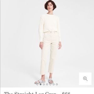 Everlane The Straight Leg Crop 4 Short bone